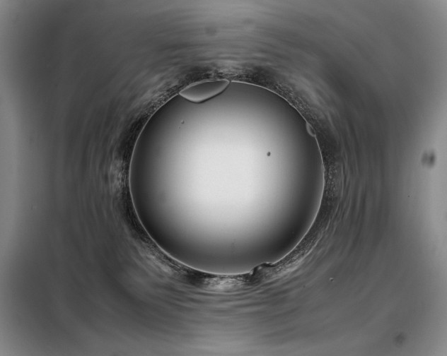 X0000099310135200805021323