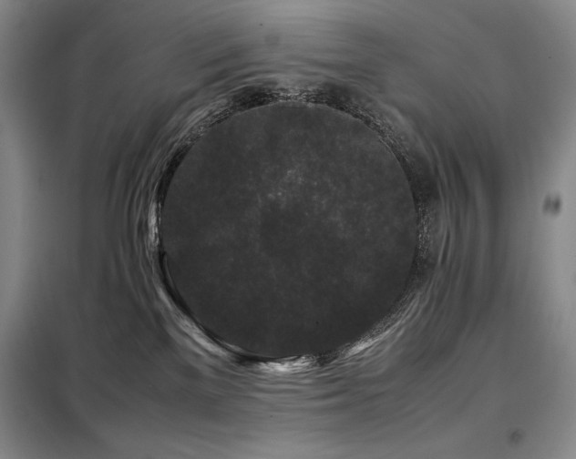 X0000099310137200805021323