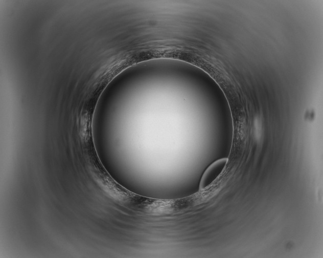 X0000099310138200805021323