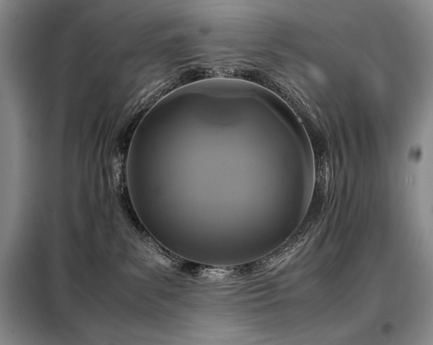 X0000099310139200805021323
