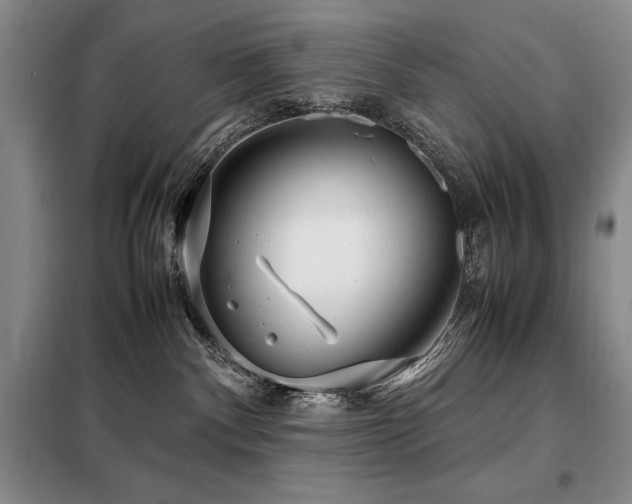 X0000099310140200805021323