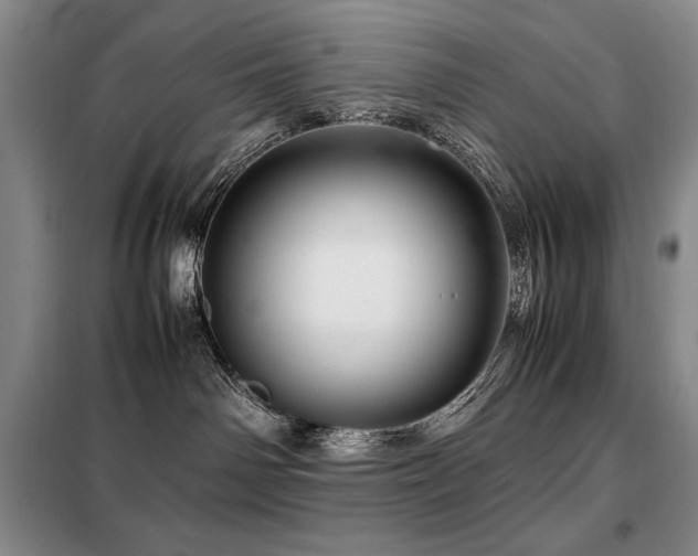 X0000099310142200805021323