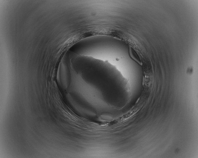 X0000099310143200805021323