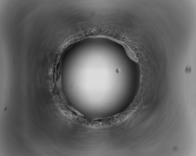 X0000099310144200805021323