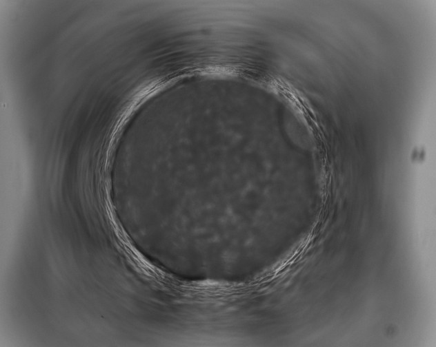 X0000099310145200805021322
