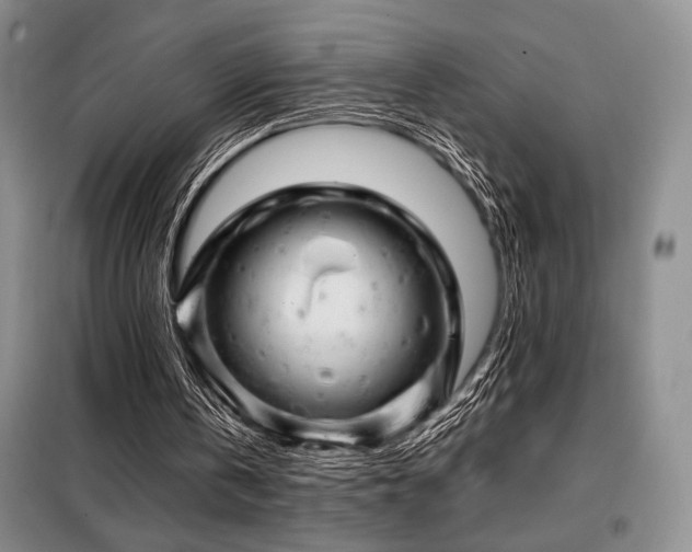 X0000099310146200805021322