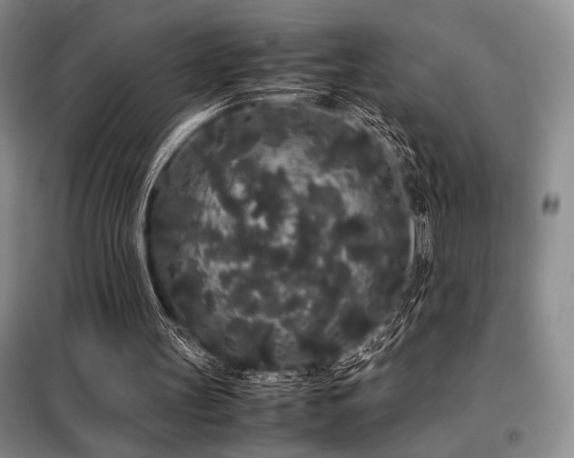 X0000099310147200805021322