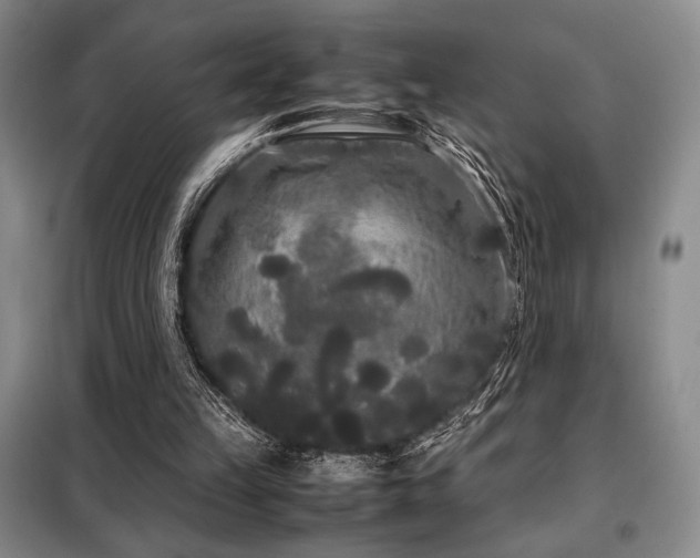 X0000099310149200805021322