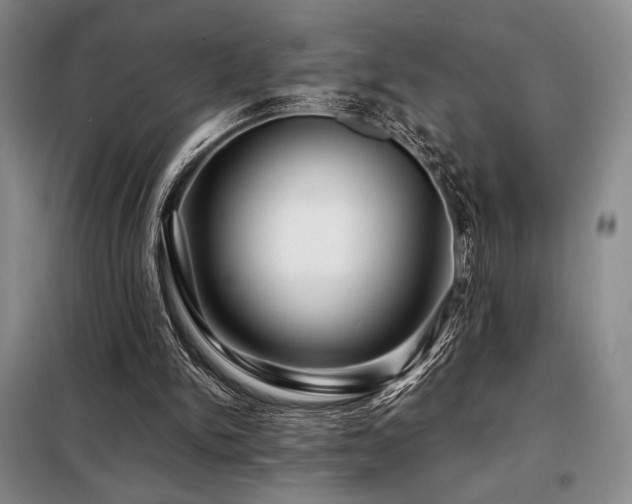 X0000099310150200805021322