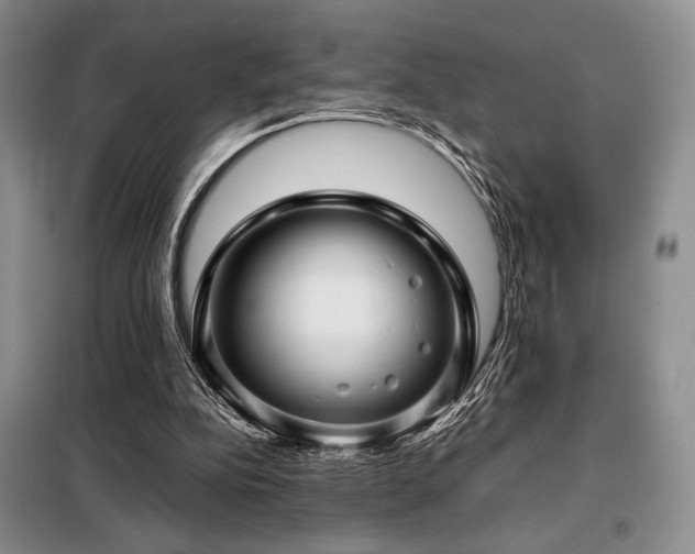 X0000099310152200805021322