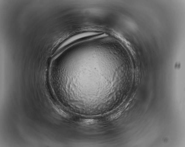 X0000099310153200805021322
