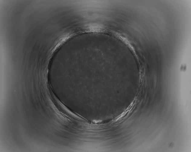 X0000099310154200805021322