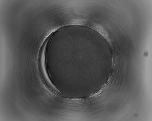X0000099310156200805021322