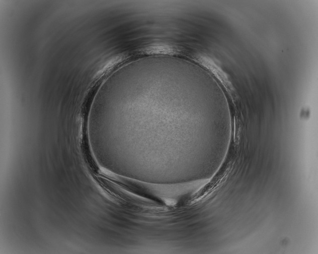 X0000099310157200805021322