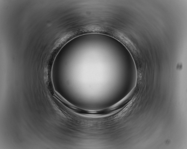 X0000099310158200805021322