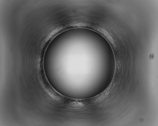 X0000099310159200805021322
