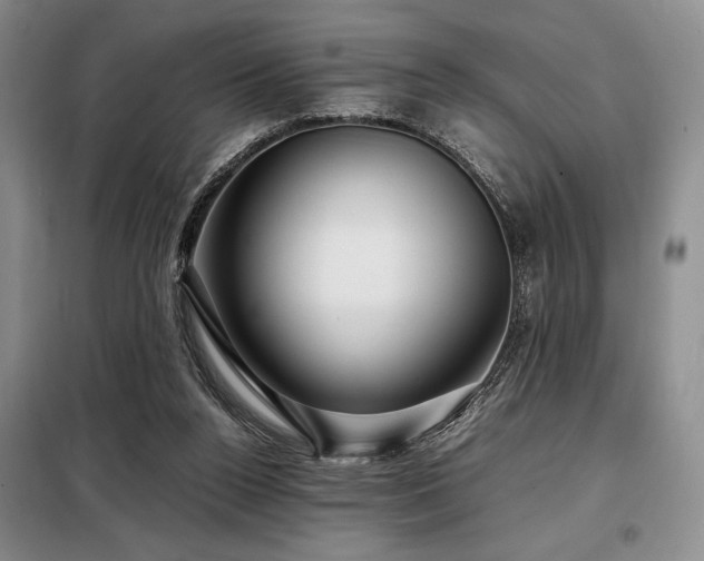 X0000099310160200805021322