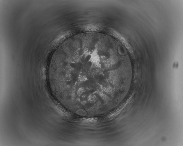 X0000099310161200805021322