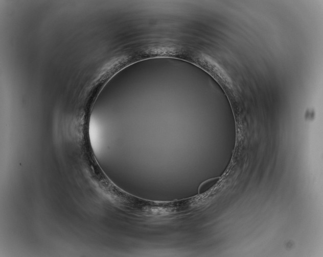 X0000099310163200805021322