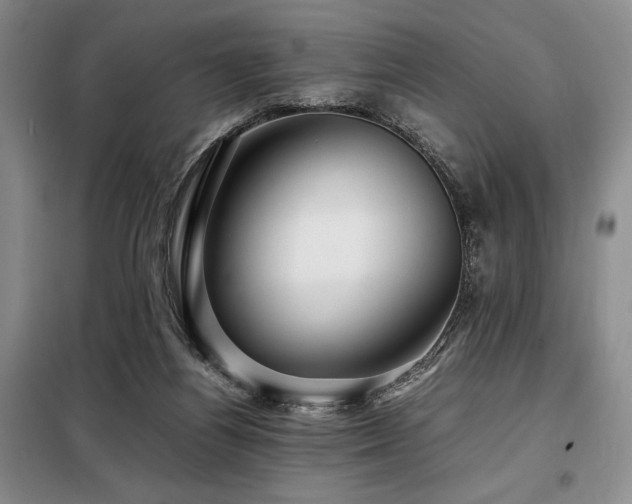 X0000099310164200805021322