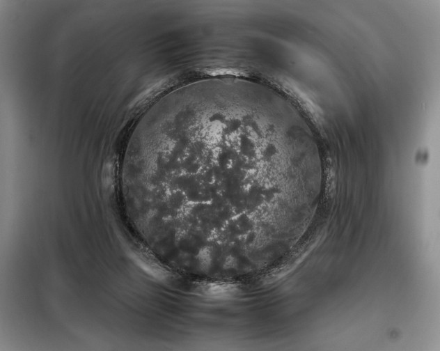 X0000099310165200805021322