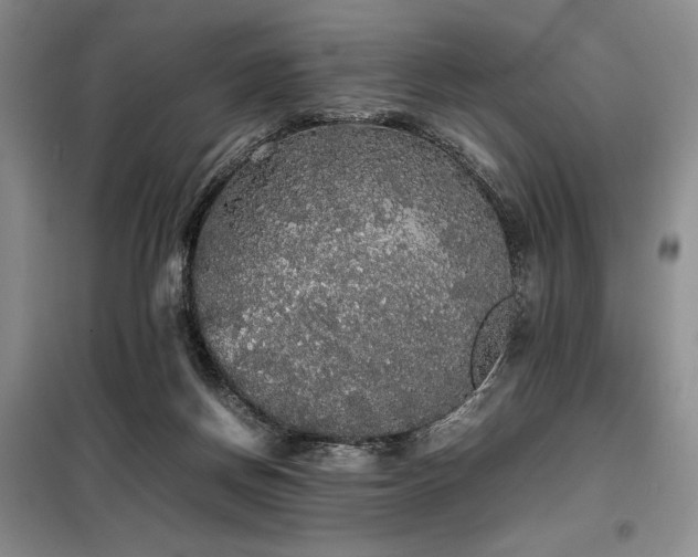 X0000099310166200805021322