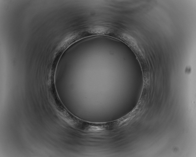 X0000099310167200805021322