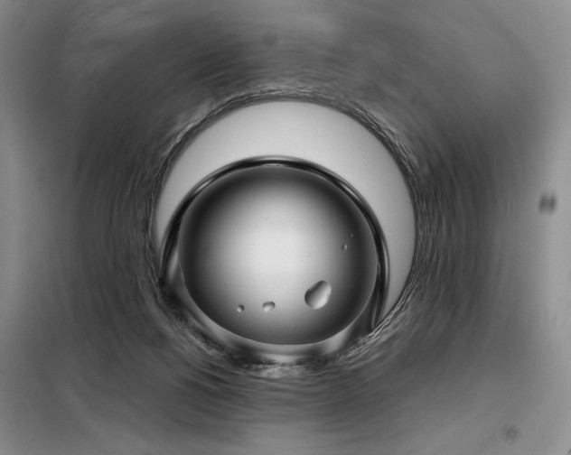 X0000099310168200805021322