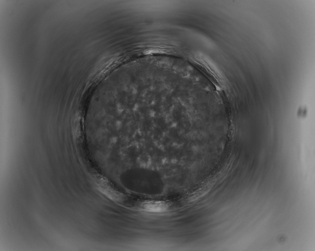 X0000099310169200805021322