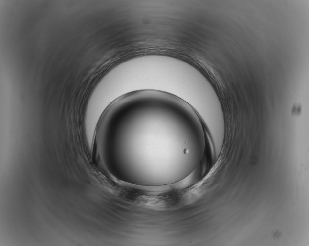 X0000099310170200805021322