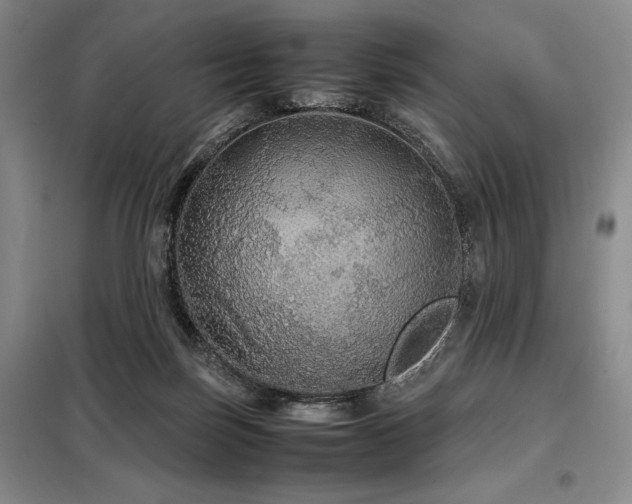 X0000099310171200805021322