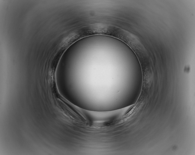 X0000099310172200805021322