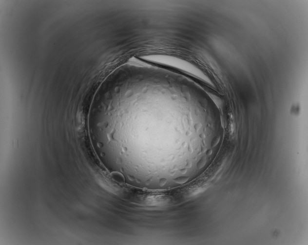 X0000099310173200805021322