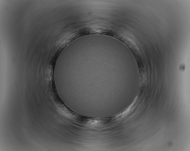 X0000099310174200805021322