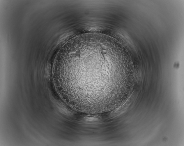 X0000099310175200805021322