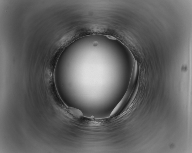X0000099310176200805021322