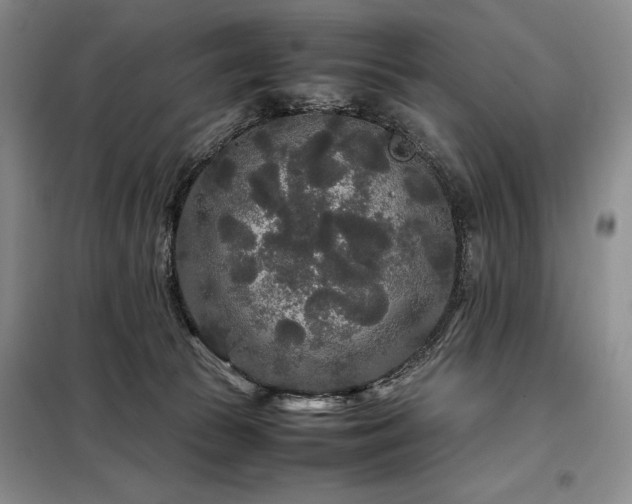 X0000099310177200805021322