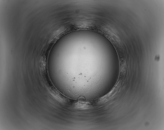 X0000099310179200805021322