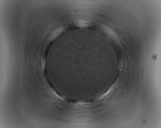 X0000099310180200805021322
