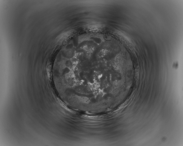 X0000099310181200805021322