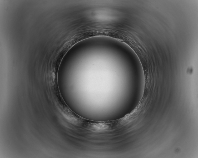 X0000099310183200805021322