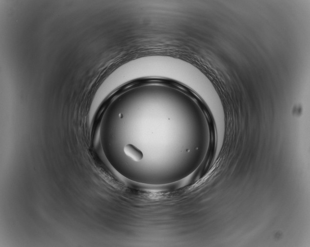 X0000099310184200805021322