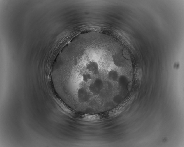 X0000099310185200805021322
