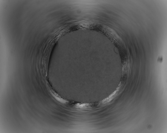 X0000099310186200805021322