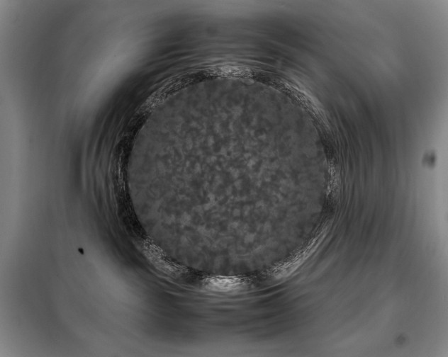 X0000099310189200805021322