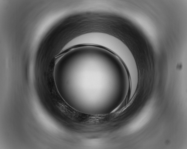 X0000099310190200805021322