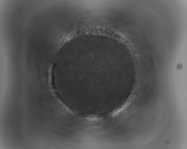 X0000099310192200805021323