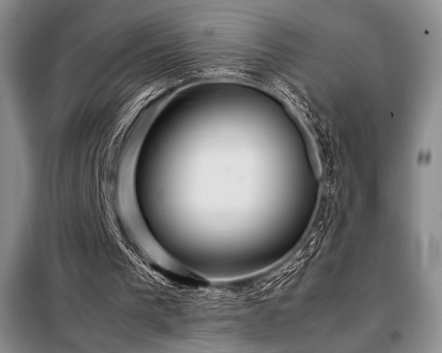 X0000099310193200805021322