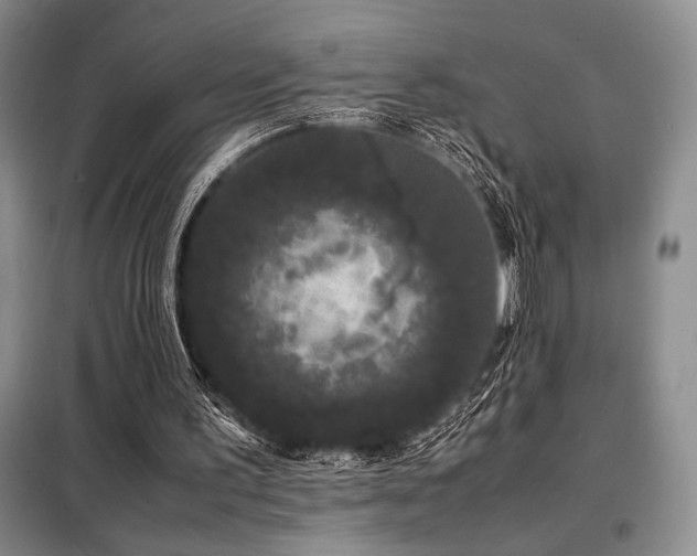 X0000099310195200805021322