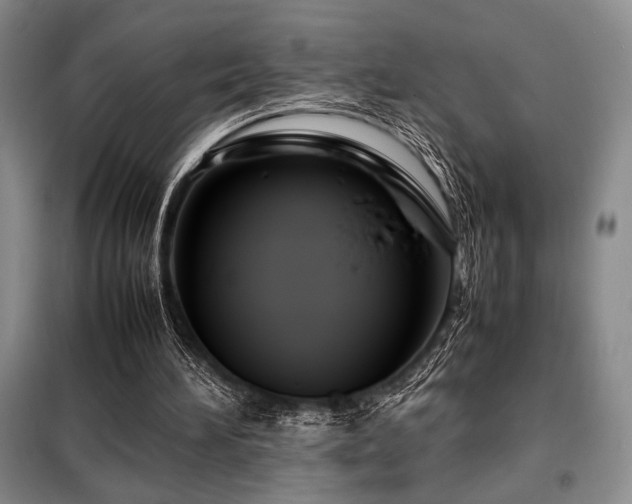X0000099310196200805021322